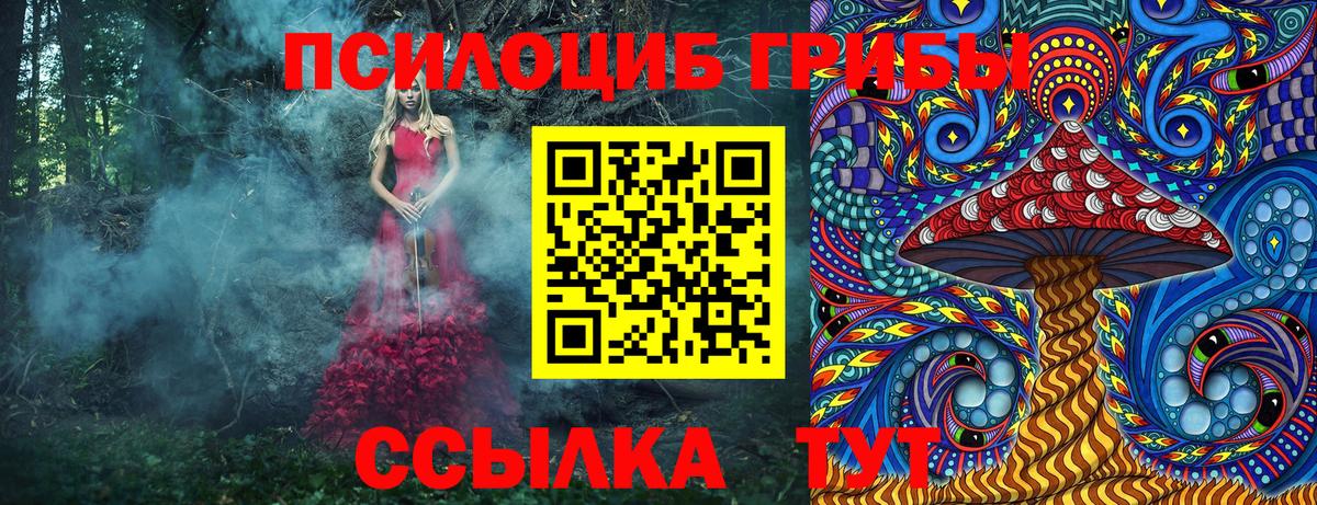 Галлюциногенные грибы Psilocybine cubensis  Вход с VPN  Серов 